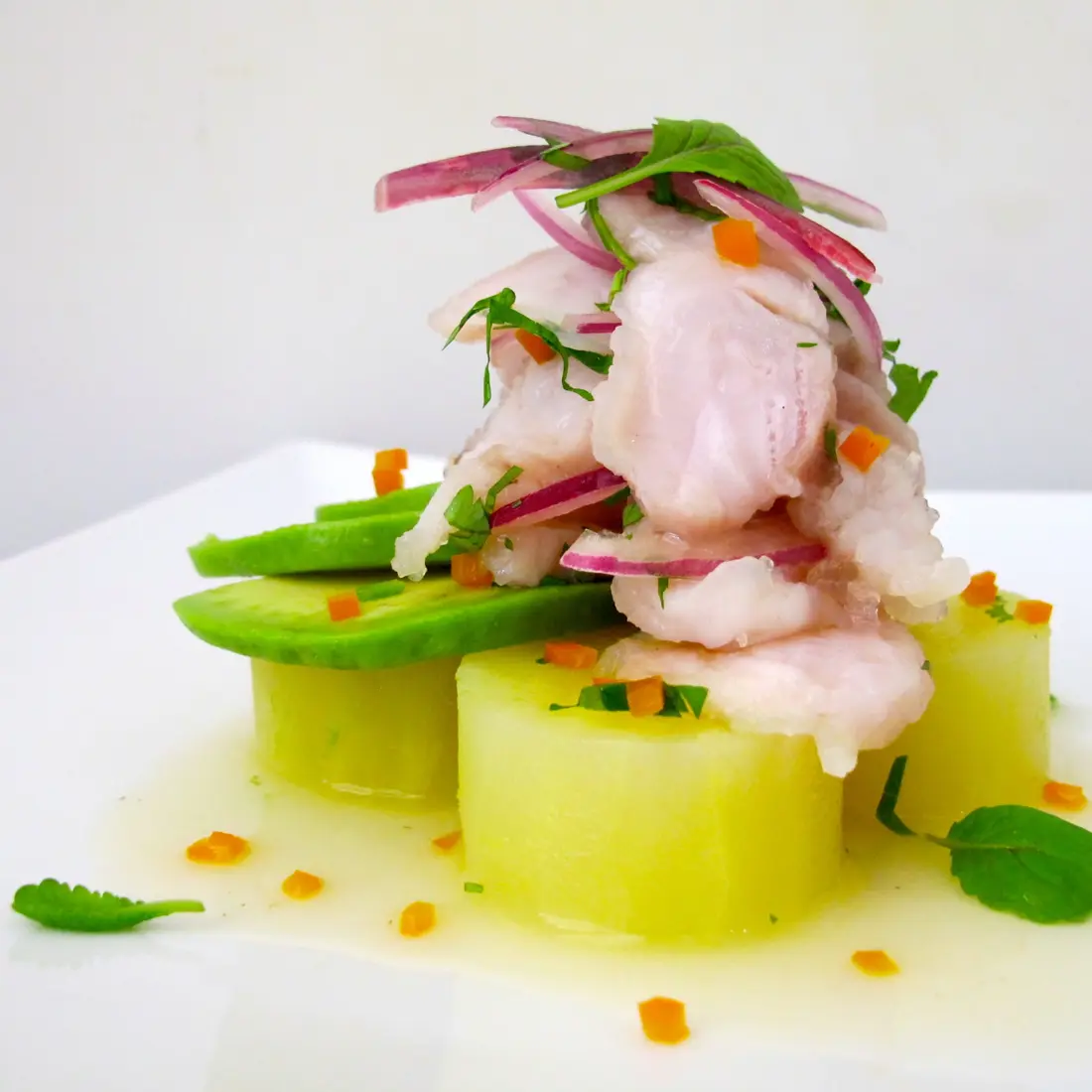 Ceviche of white fish with avocado, melon, shaved red onion, mint and chilli