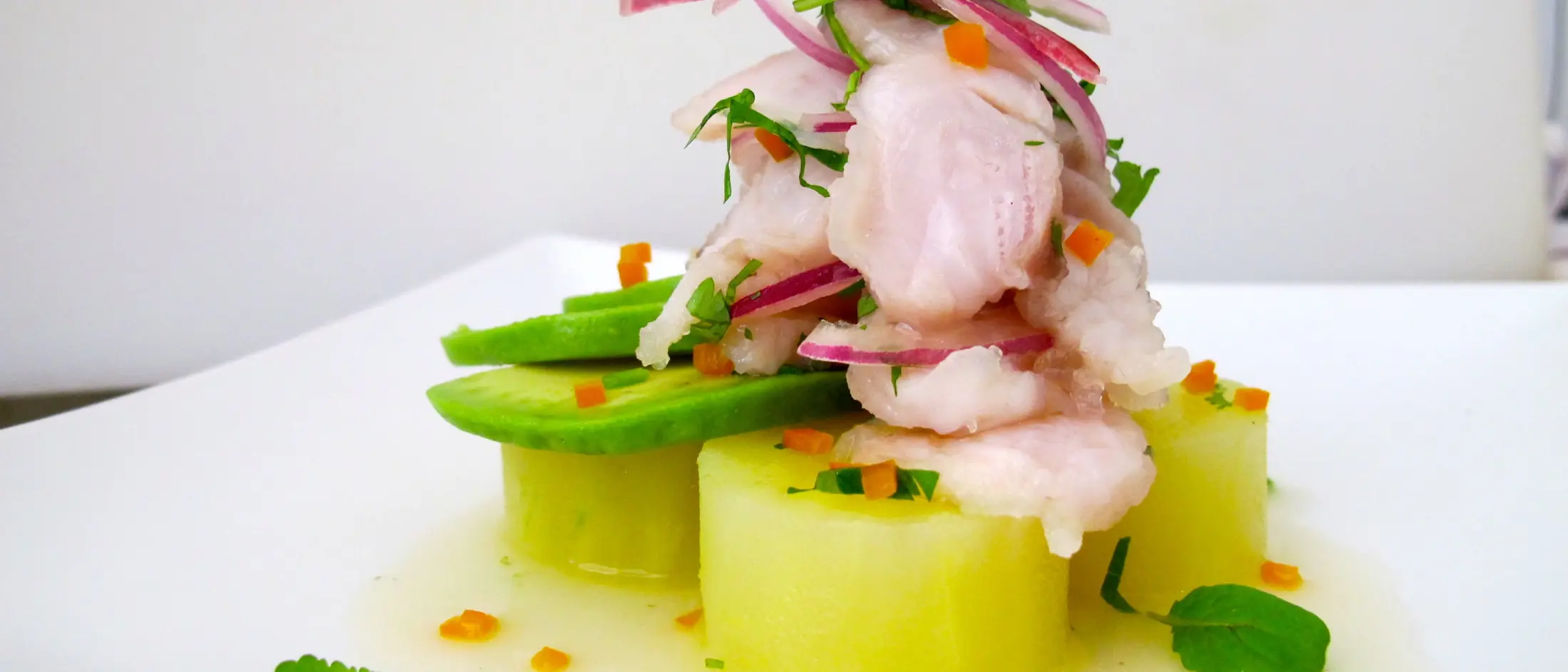Ceviche of white fish with avocado, melon, shaved red onion, mint and chilli